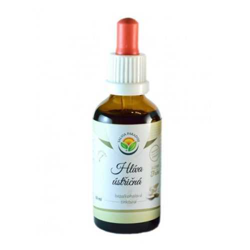 Salvia Paradise Hlíva ústřičná - tinktura bez alkoholu (50 ml) Salvia Paradise